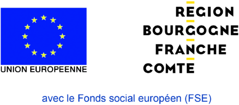 logos fse region 2017