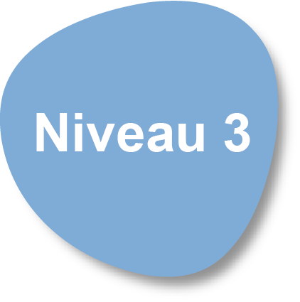 Niveau3