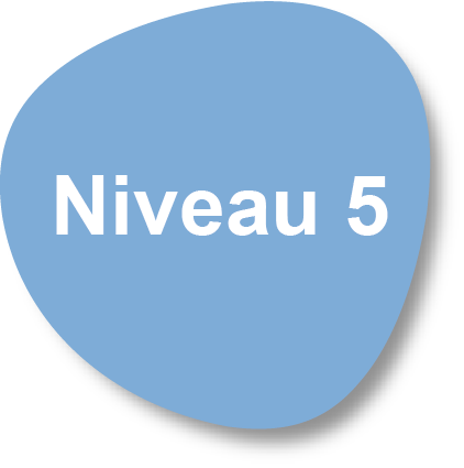 Niveau5