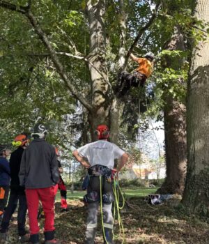CS Arboriste – Grimpeur – en 1 an – Velet, formation continue