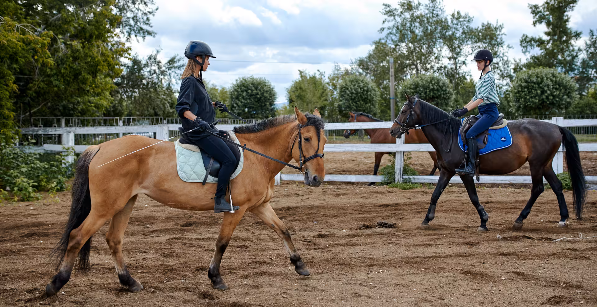 Formations sportives