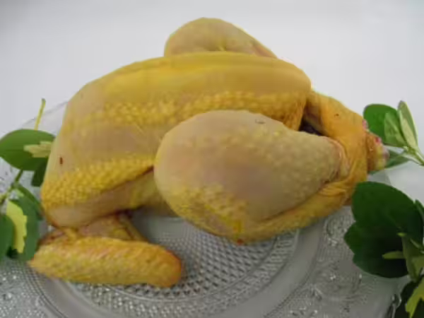 Poulet PAC – Image 2