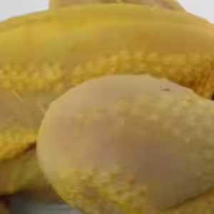 Poulet PAC