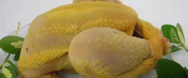 Poulet PAC