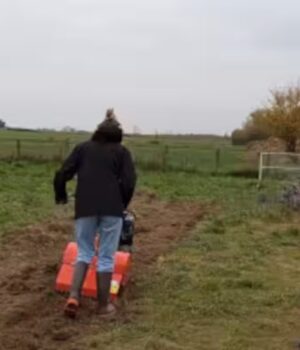 Des élèves de STAV en action pour un projet agroécologique et durable